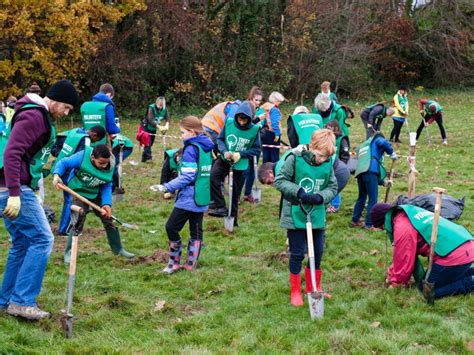 tree planting organizations uk.